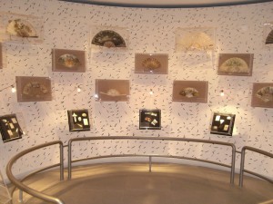 Perlmuttmuseum-MuseeDeLaNacre 